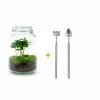LA GREEN TOUCH - Kit terrarium diy - oslo caféier - rateau + pelle
