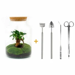 LA GREEN TOUCH - Kit terrarium diy - mila sans led ficus - rateau + pelle + pince + ciseaux