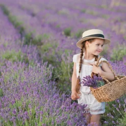 LA GREEN TOUCH - Lavande angustifolia - 8 packs de 6