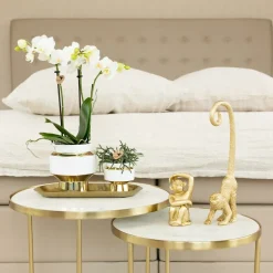 LA GREEN TOUCH - Le chic - pot décoratif blanc avec détails dorés