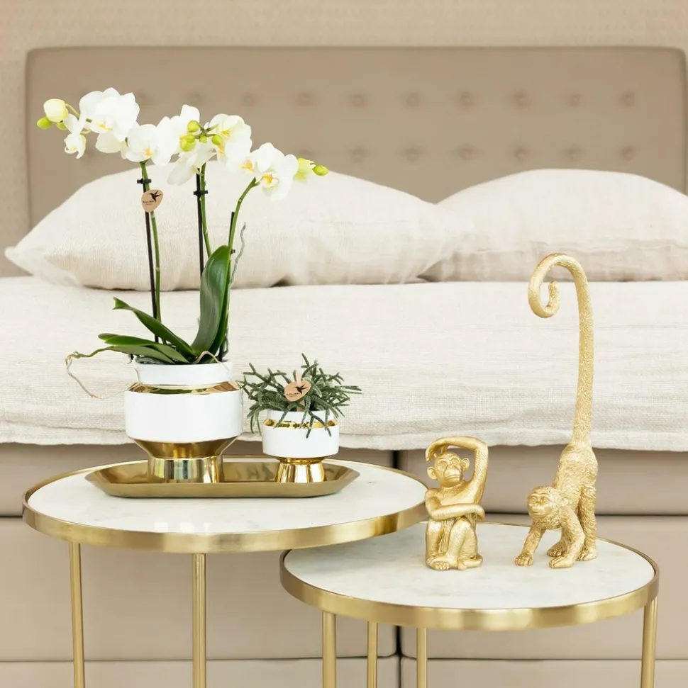 LA GREEN TOUCH - Le chic - pot décoratif blanc avec détails dorés