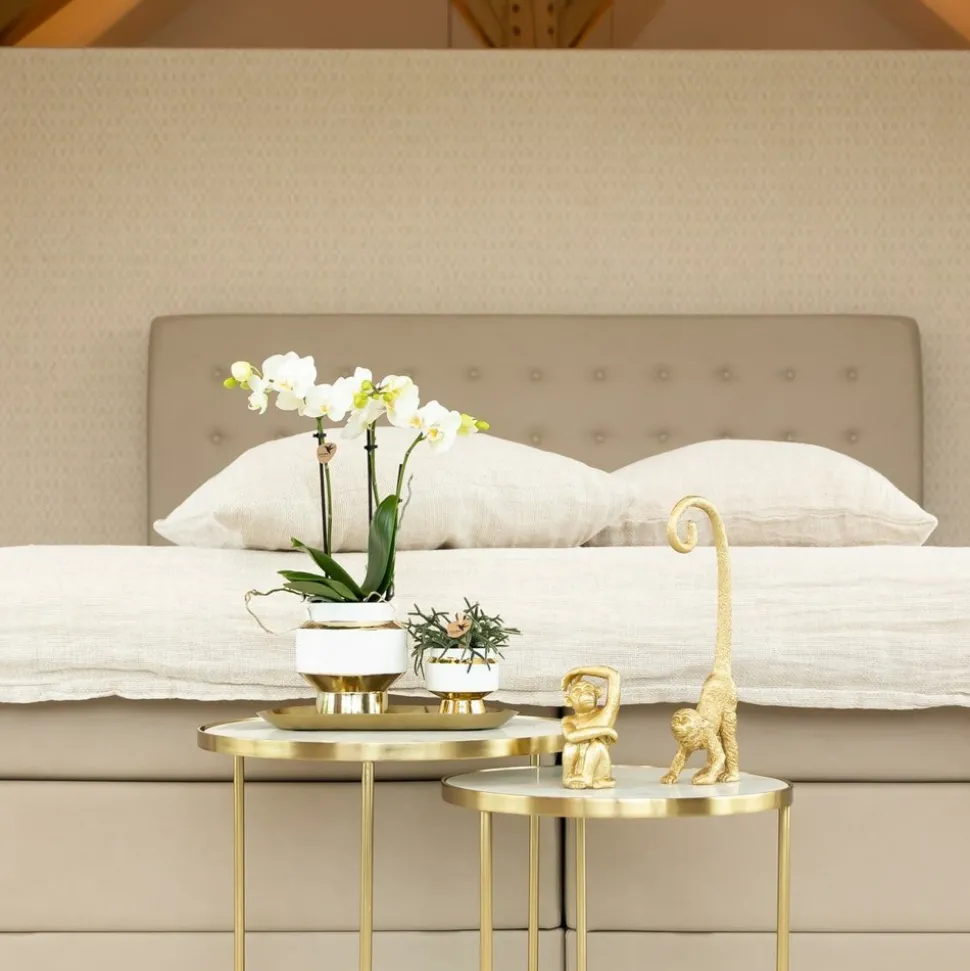 LA GREEN TOUCH - Le chic - pot décoratif blanc avec détails dorés