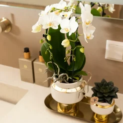 LA GREEN TOUCH - Le chic - pot décoratif blanc avec détails dorés