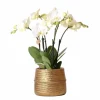 LA GREEN TOUCH - Orchidée amabilis blanche et son pot doré d12 - hauteur 35cm