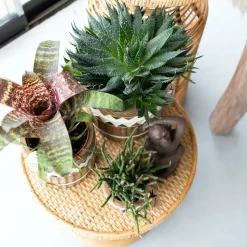 LA GREEN TOUCH - Ornement - figurine singe assis - brun