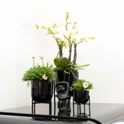 LA GREEN TOUCH - Ornement décoratif singe assis - noir