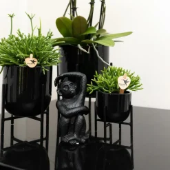 LA GREEN TOUCH - Ornement décoratif singe assis - noir