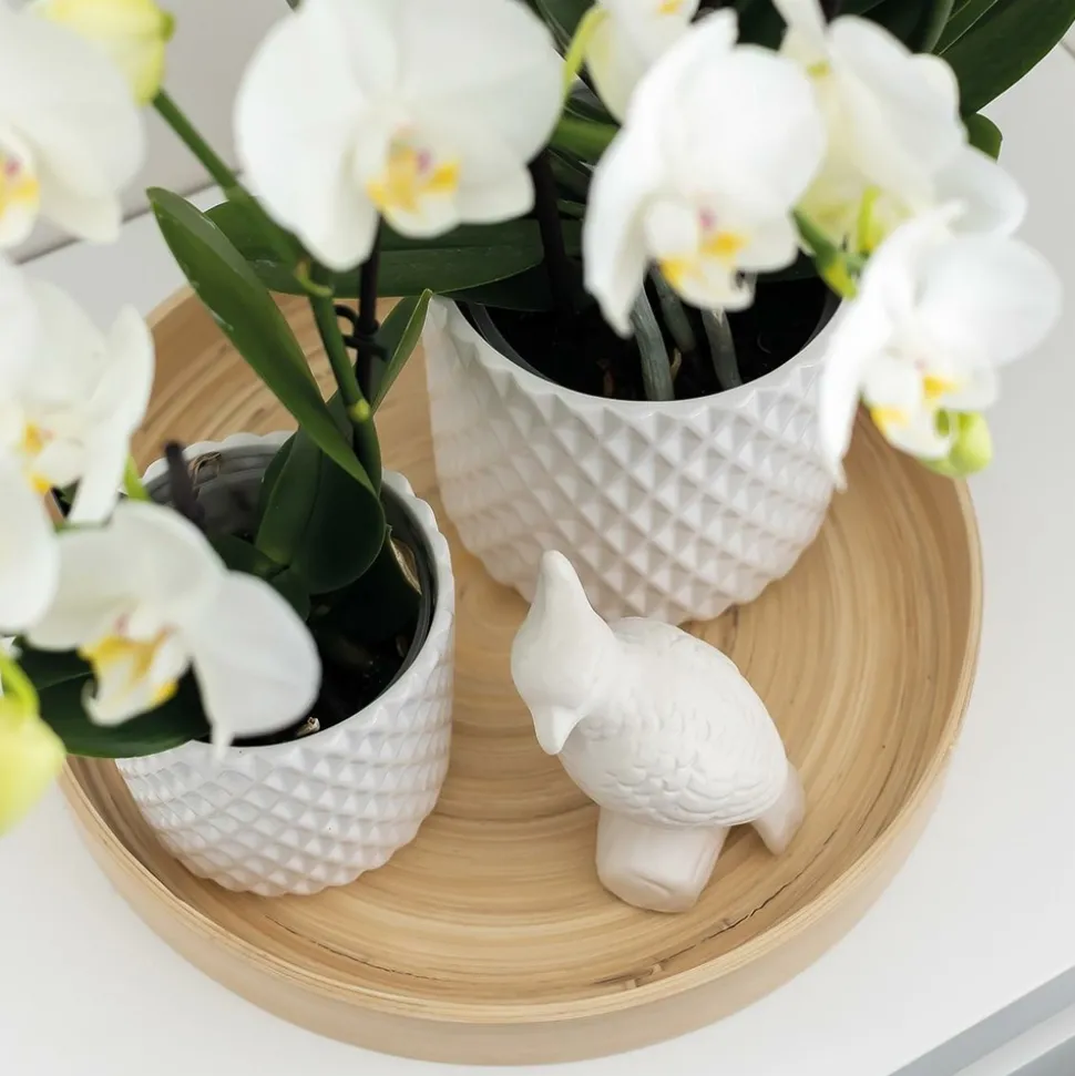 LA GREEN TOUCH - Ornement décoratif cacatoès blanc