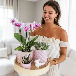 LA GREEN TOUCH - Ornement décoratif de maison