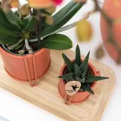 LA GREEN TOUCH - Plateau ovale en bambou