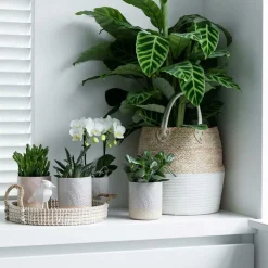 LA GREEN TOUCH - Plateau tressé blanc - accessoire déco