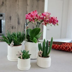 LA GREEN TOUCH - Pot bali - off white