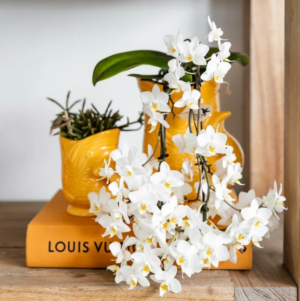 LA GREEN TOUCH - Pot décoratif fish - orange - céramique