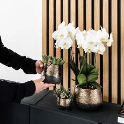 LA GREEN TOUCH - Pot décoratif citrus cuivre élité