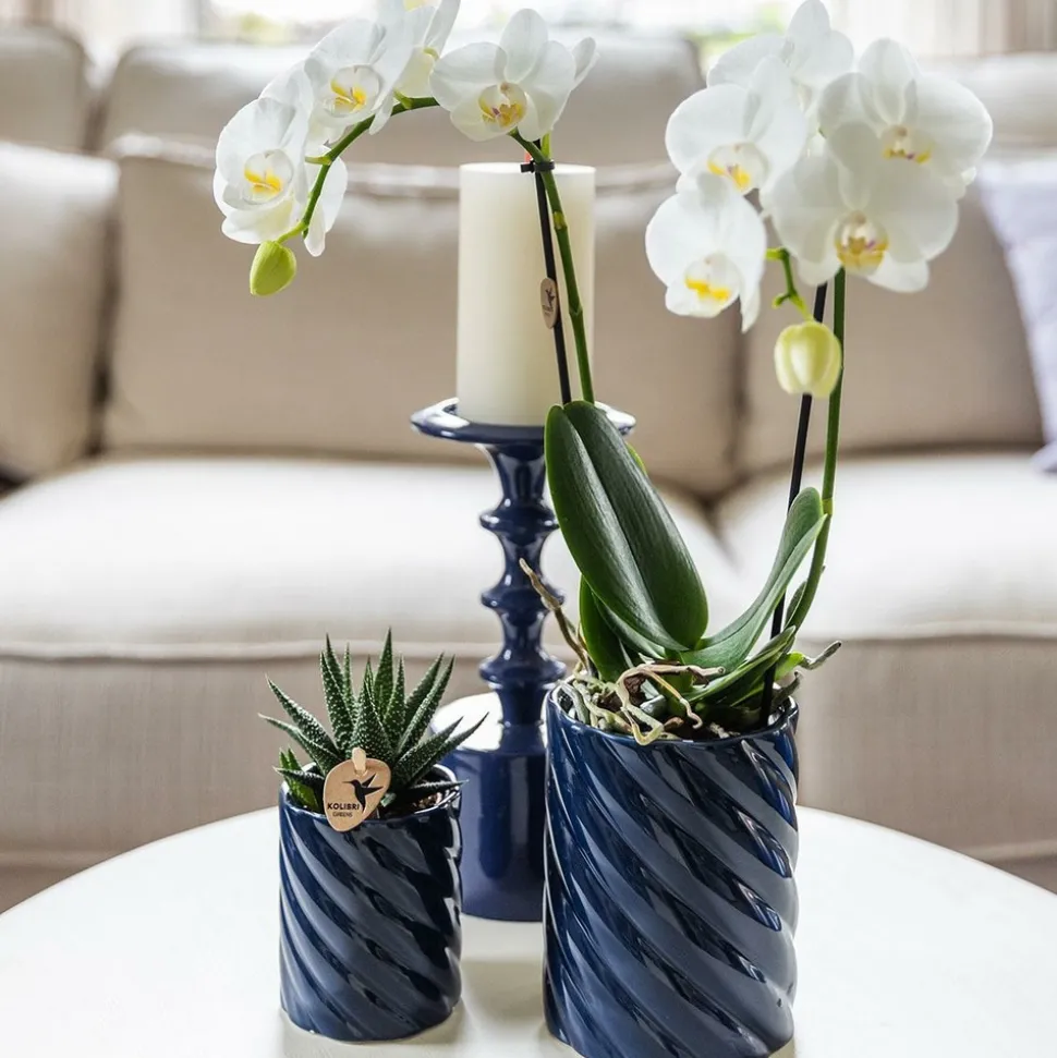 LA GREEN TOUCH - Pot décoratif candy bleu vibrant