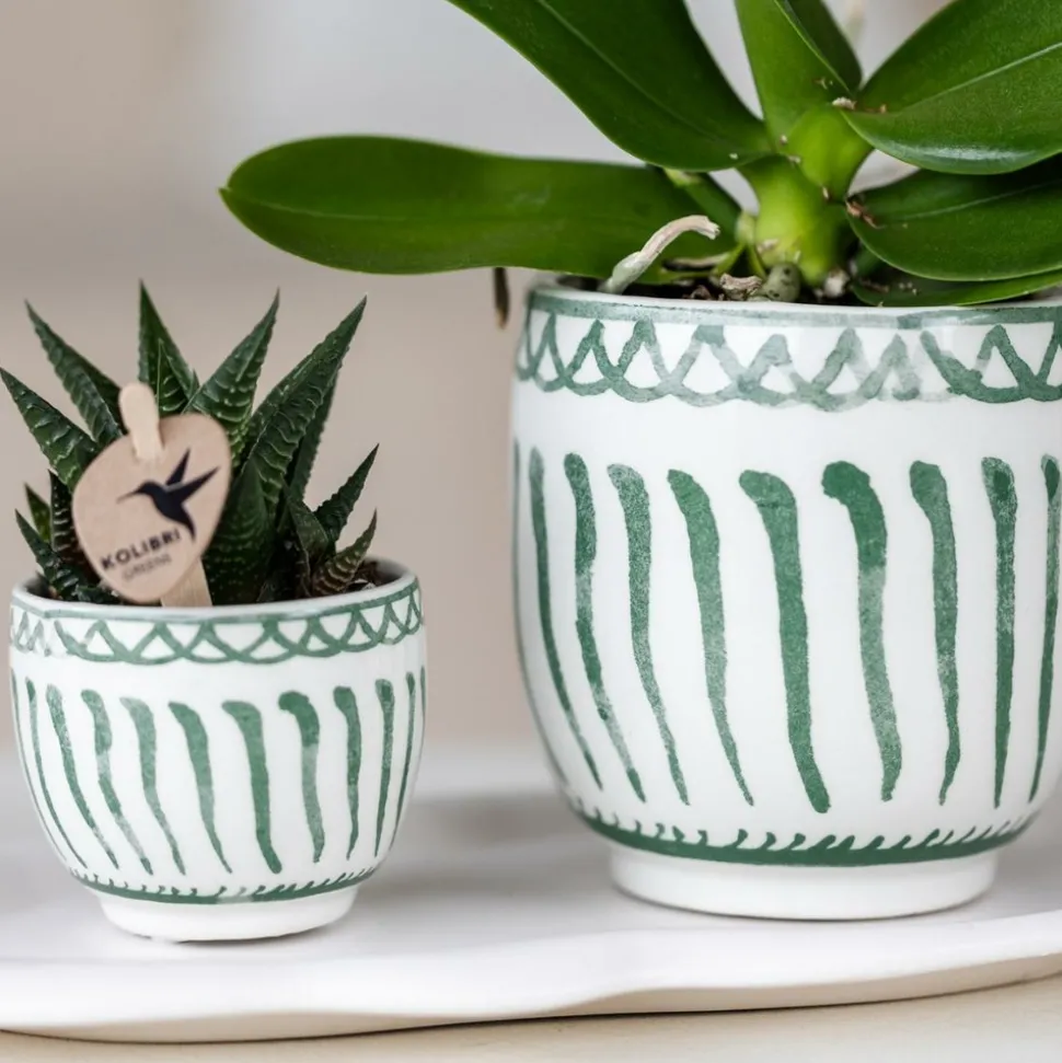 LA GREEN TOUCH - Pot décoratif granada vert