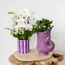 LA GREEN TOUCH - Pot décoratif fish - lilas