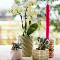 LA GREEN TOUCH - Pot décoratif candy - blanc