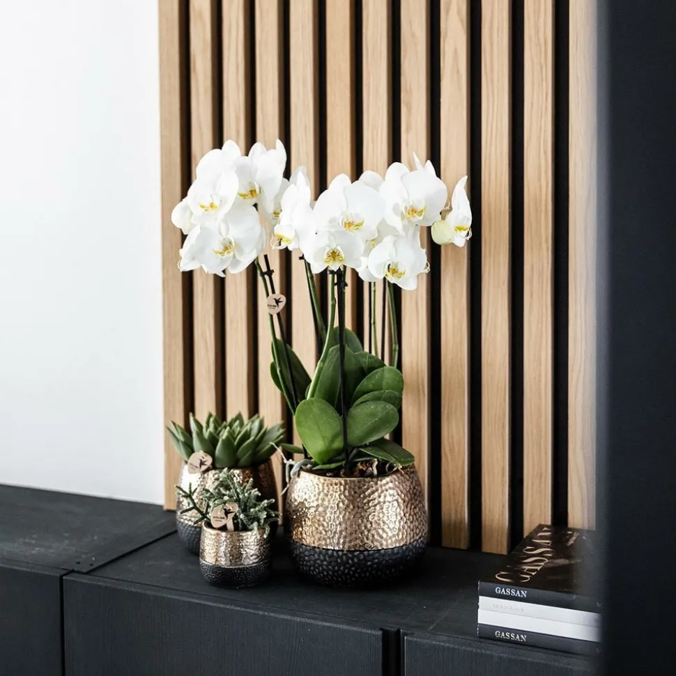 LA GREEN TOUCH - Pot décoratif elite en cuivre