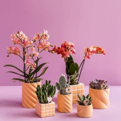 LA GREEN TOUCH - Pot décoratif mosa - orange