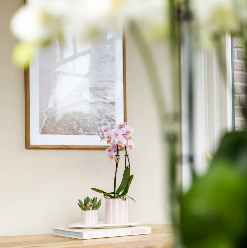 LA GREEN TOUCH - Pot décoratif rayé peint - rose