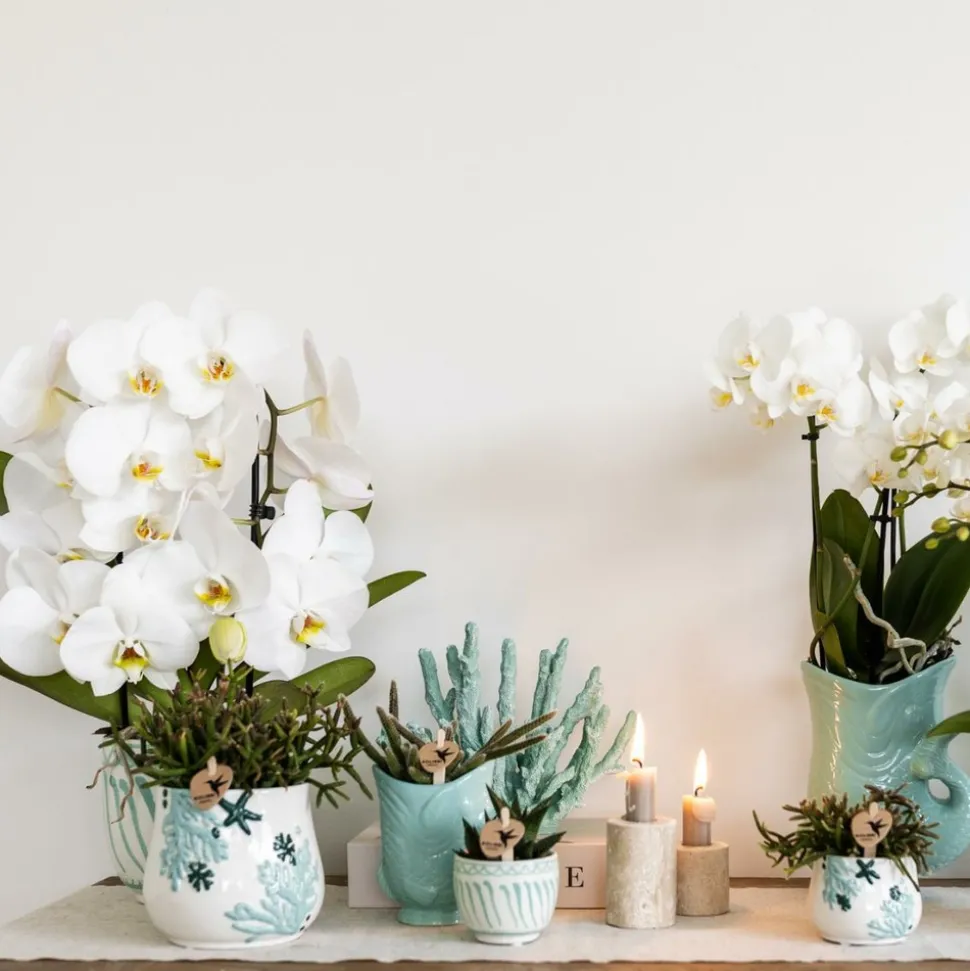 LA GREEN TOUCH - Pot décoratif fish turquoise