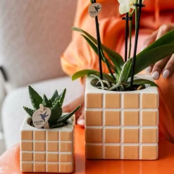 LA GREEN TOUCH - Pot décoratif mosa orange