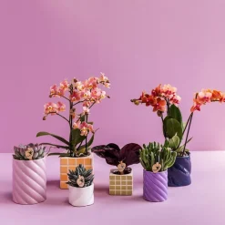 LA GREEN TOUCH - Pot décoratif mosa orange