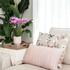 LA GREEN TOUCH - Pot décoratif diabolo rose