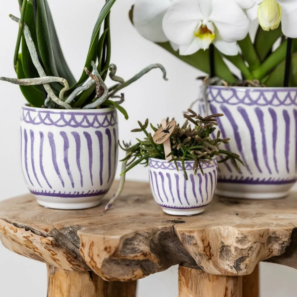 LA GREEN TOUCH - Pot décoratif granada - lilas