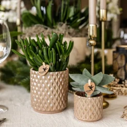 LA GREEN TOUCH - Pot diamond pearl - sable