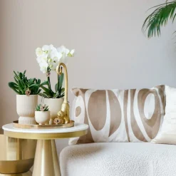 LA GREEN TOUCH - Set orchidée blanche phalaenopsis et succulentes en pots céramique