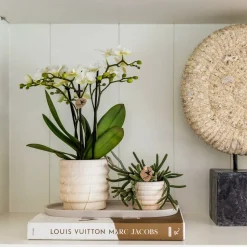 LA GREEN TOUCH - Sierpot en céramique marble light