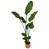 LA GREEN TOUCH - Strelitzia nicolai 100cm et son pot rose 18cm - hauteur 100cm