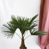 LA GREEN TOUCH - Trachycarpus palmier 90cm - plante d'intérieur