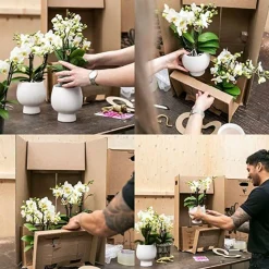 LA GREEN TOUCH - Verts colibri | lot de 2 plantes succulentes en pots décoratifs rainurés argentés - pot céramique taille 9cm