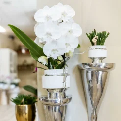 LA GREEN TOUCH - Verts colibri | lot de 2 plantes rhipsalis en pots décoratifs argentés le chic - pot céramique taille 9cm