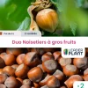 LEADERPLANT - Duo noisetiers à gros fruits - 2 variétés en pot de 6 l