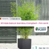 LEADERPLANT - Kit bambou campbell 10l avec bac pour balcon