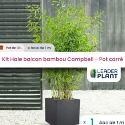 LEADERPLANT - Kit bambou campbell 10l avec bac pour balcon
