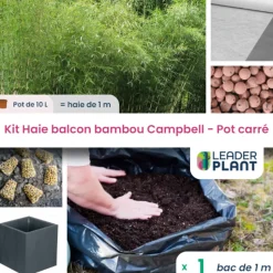 LEADERPLANT - Kit bambou campbell 10l avec bac pour balcon