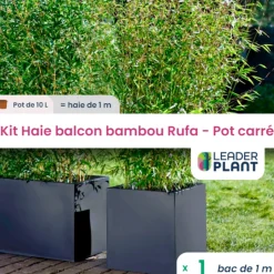 LEADERPLANT - Kit bambou rufa 10l avec bac pour balcon