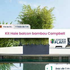 LEADERPLANT - Kit brise-vue balcon bambou campbell 10 l
