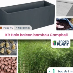 LEADERPLANT - Kit brise-vue balcon bambou campbell 10 l