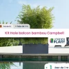 LEADERPLANT - Kit brise-vue balcon bambou campbell 5 l