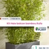 LEADERPLANT - Kit brise-vue balcon bambou rufa 10 l
