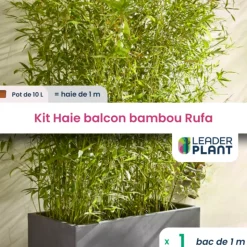 LEADERPLANT - Kit brise-vue balcon bambou rufa 10 l