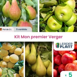 LEADERPLANT - Kit mon premier verger