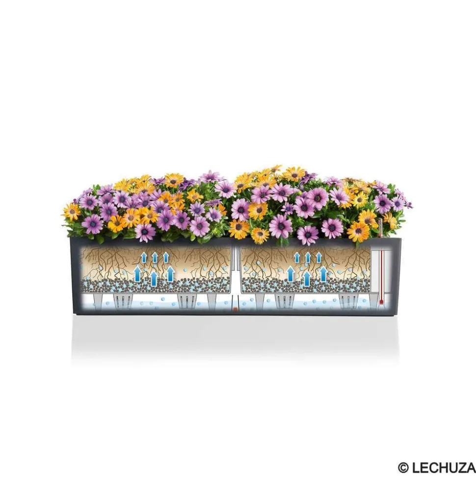 LECHUZA - Jardinière balconera color en plastique blanc - 79x19x19 cm