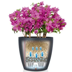 LECHUZA - Pot Classico Color en polypropylène, blanc D35 x H. 33 cm